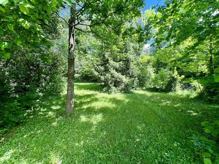 Versteckte Fleckchen - Einfamilienhaus in 88471 Laupheim mit 250m² kaufen