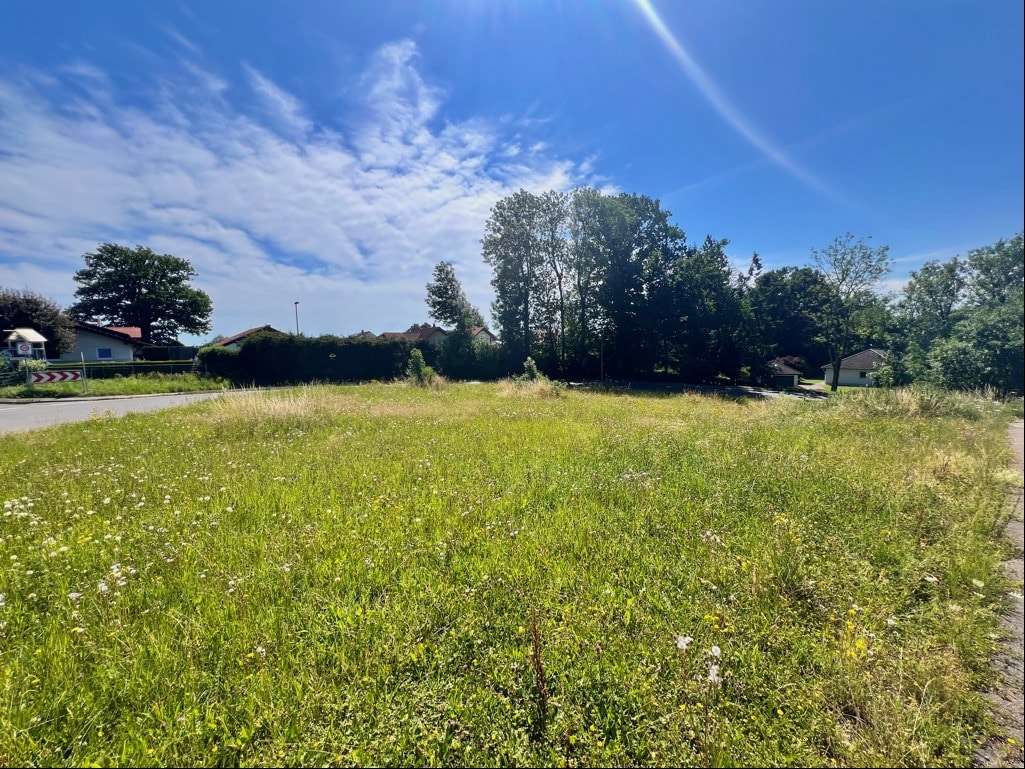 Westansicht Westansicht - Grundstück in 88459 Tannheim mit 1684m² kaufen