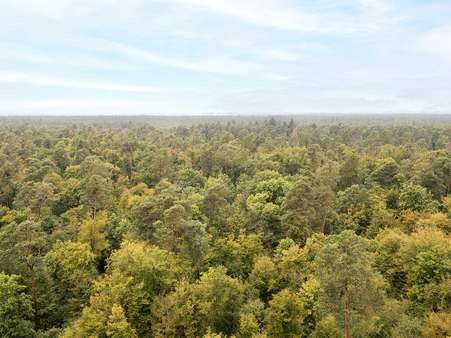 Aussicht - Etagenwohnung in 76139 Karlsruhe / Waldstadt mit 82m² kaufen