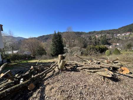 Grundstück mit Aussicht Grundstück mit Aussicht - Grundstück in 77830 Bühlertal mit 1697m² kaufen