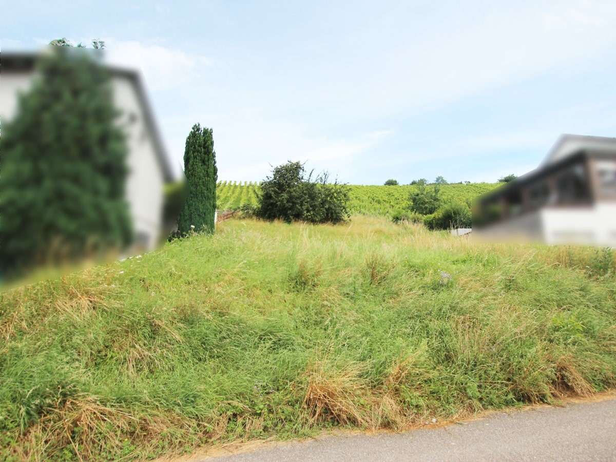 Straßenansicht - Grundstück in 75438 Knittlingen mit 616m² kaufen