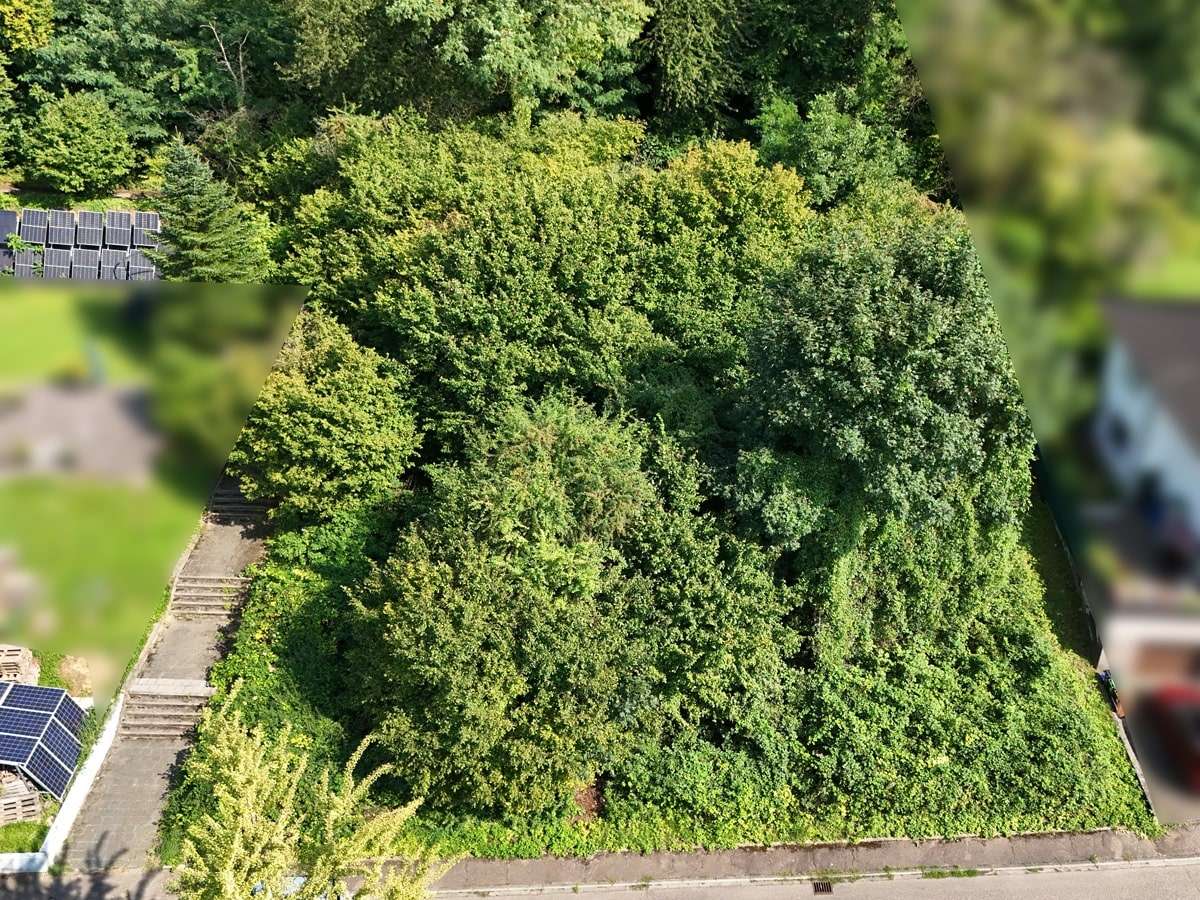 Blick auf das Baugrundstück - Grundstück in 69181 Leimen mit 1202m² kaufen