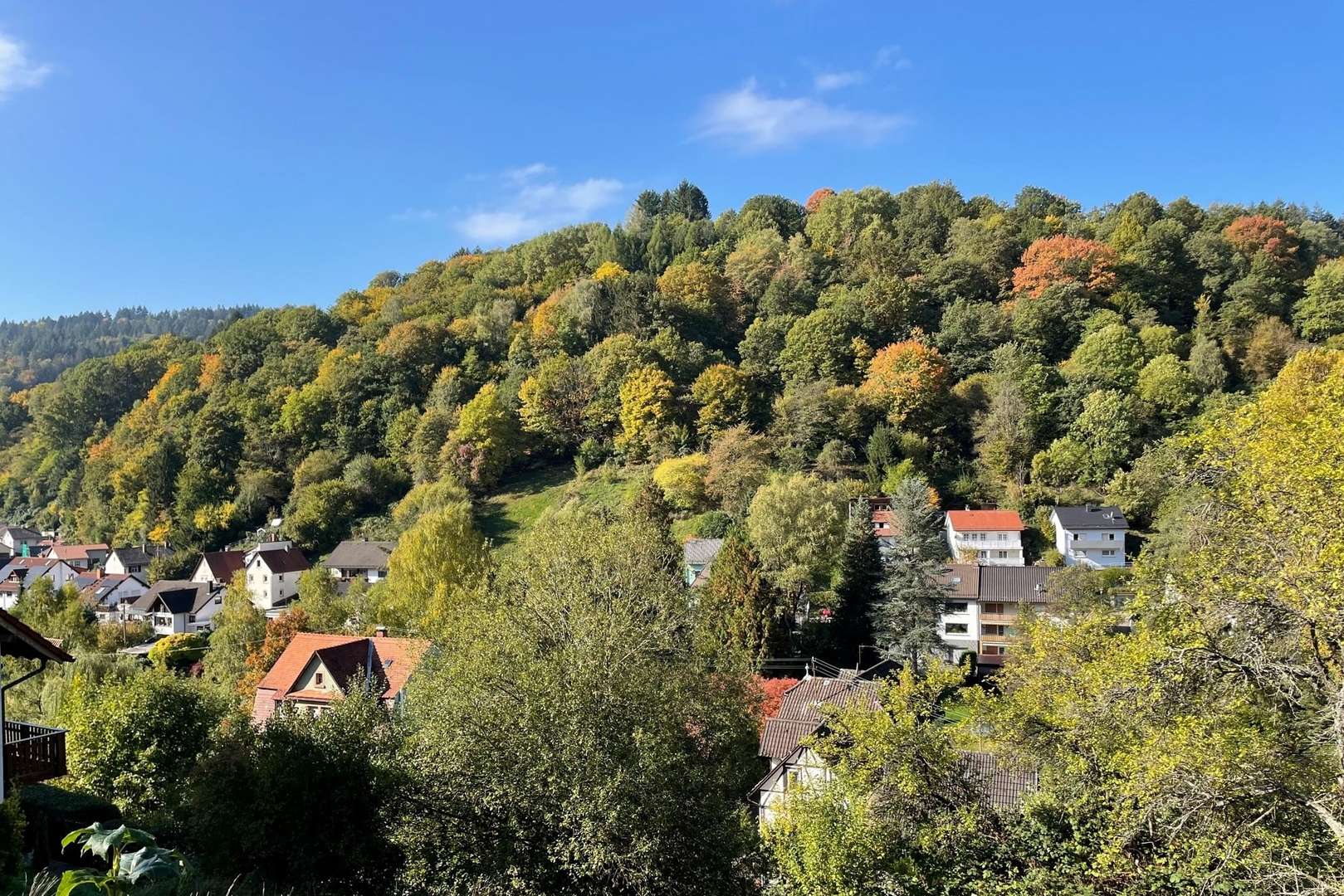 Aussicht - Grundstück in 69250 Schönau mit 728m² kaufen