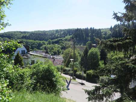 Ausblick vom Grundstück - Grundstück in 74847 Obrigheim mit 2469m² kaufen