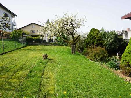 Garten - Zweifamilienhaus in 74906 Bad Rappenau mit 313m² kaufen