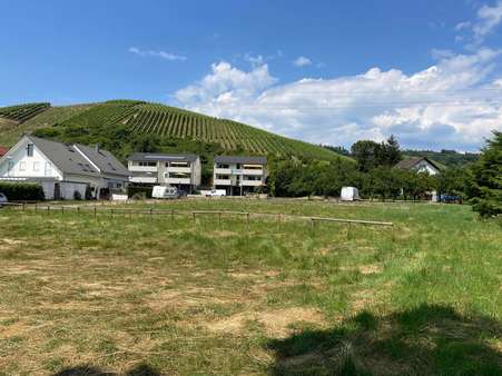 Blick zur Straße Stollenberg - Grundstück in 77770 Durbach mit 2100m² kaufen