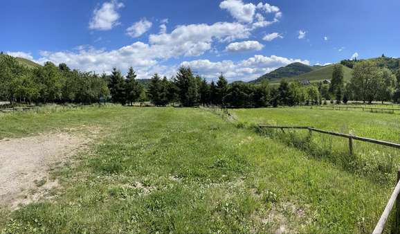 Von der Sonne verwöhnt - Grundstück in 77770 Durbach mit 2100m² kaufen