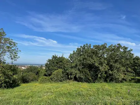 Lauf - Wohnbaugrundstück mit Aussicht!