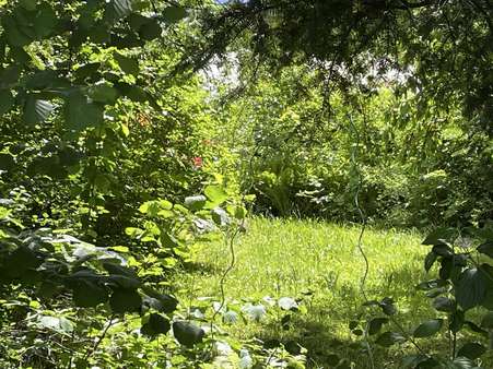 Garten Garten - Dachgeschosswohnung in 77654 Offenburg mit 81m² kaufen