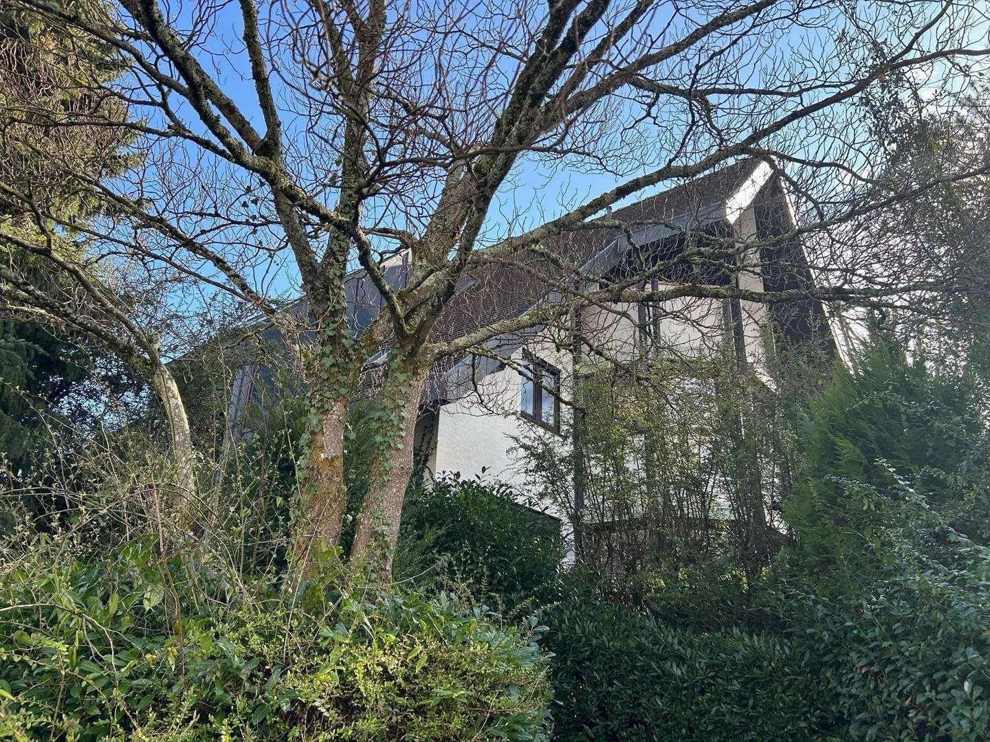 Hausfront - Mehrfamilienhaus in 77736 Zell mit 361m² kaufen
