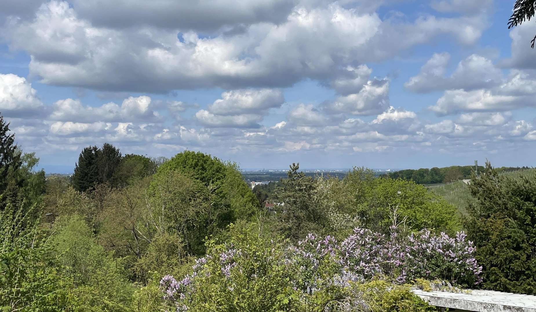 Aussicht pur! - Grundstück in 77654 Offenburg mit 1174m² kaufen