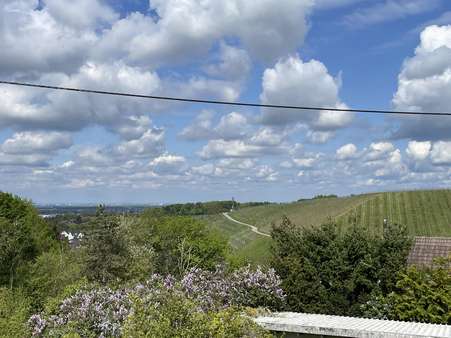 sonnige Südwest-Lage - Grundstück in 77654 Offenburg mit 1174m² kaufen