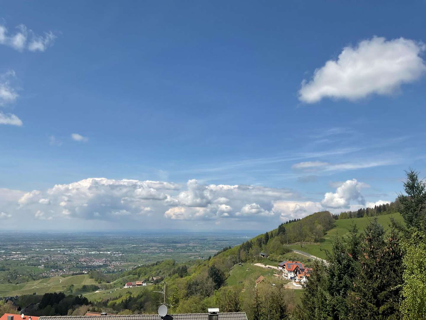 Ausblick - Etagenwohnung in 77887 Sasbachwalden mit 31m² kaufen