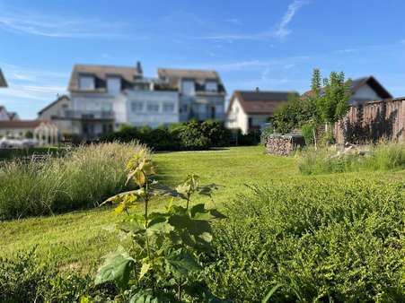 Grundstück - Grundstück in 77656 Offenburg mit 815m² kaufen