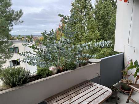 Ausblick: über die Dächer von Offenburg Ausblick: über die Dächer von Offenburg - Etagenwohnung in 77654 Offenburg mit 81m² kaufen