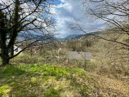 Grundstück - Grundstück in 76596 Forbach mit 489m² kaufen