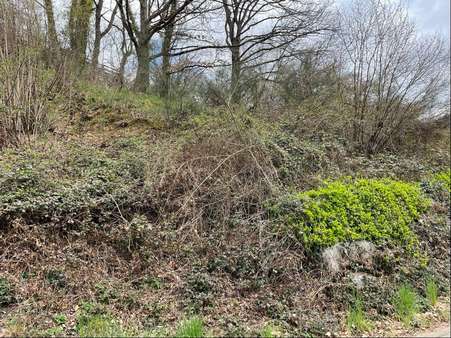 Grundstück - Grundstück in 76596 Forbach mit 489m² kaufen
