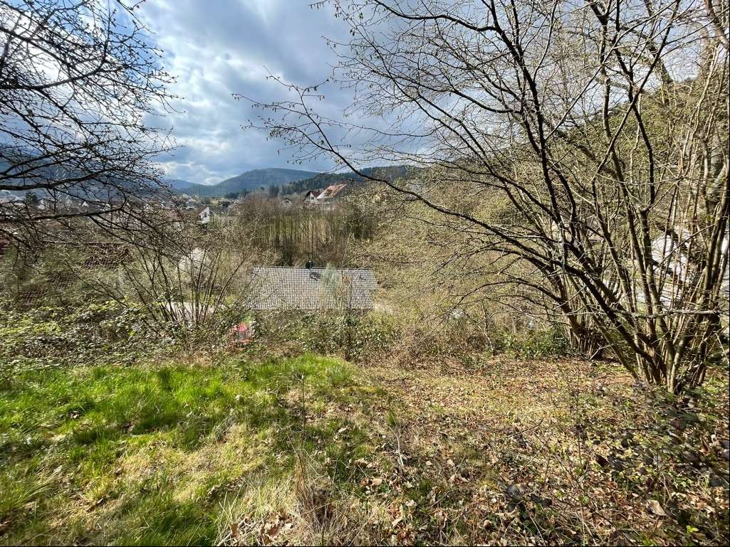 Grundstück - Grundstück in 76596 Forbach mit 489m² kaufen