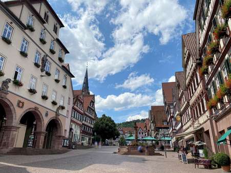 TOP Lage Marktplatz Calw - Mehrfamilienhaus in 75365 Calw mit 432m² kaufen