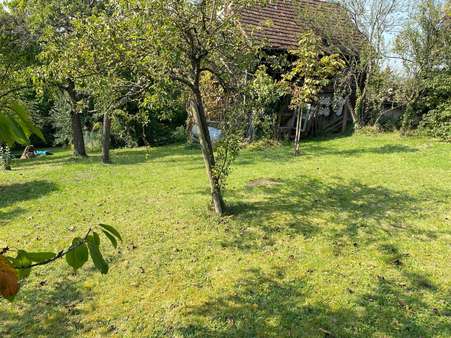 Baugrundstück - Einfamilienhaus in 75248 Ölbronn-Dürrn mit 84m² kaufen