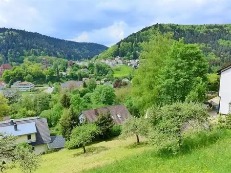 Sonne Pur und traumhafter Ausblick!
