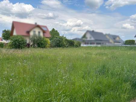 Bauen Sie hier Ihr Traumhaus! - Grundstück in 75438 Knittlingen mit 520m² kaufen