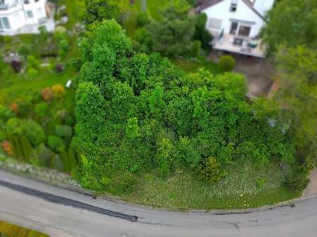 Platz für IHR Traumhaus! - Grundstück in 72218 Wildberg mit 562m² kaufen