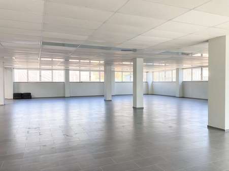 Halle UG - Halle in 75446 Wiernsheim mit 1682m² kaufen