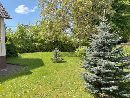 toller Garten toller Garten - Einfamilienhaus in 75365 Calw mit 143m² kaufen