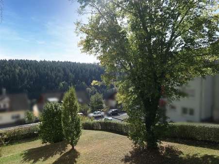 Blick ins Grüne vom Balkon - Etagenwohnung in 72213 Altensteig mit 69m² kaufen