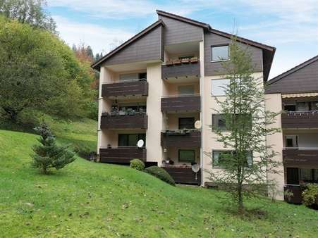 Ansicht Balkon - Etagenwohnung in 75399 Unterreichenbach mit 40m² kaufen