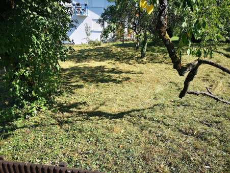 Grundstück in 75447 Sternenfels mit 515m² kaufen SparkassenImmobilien
