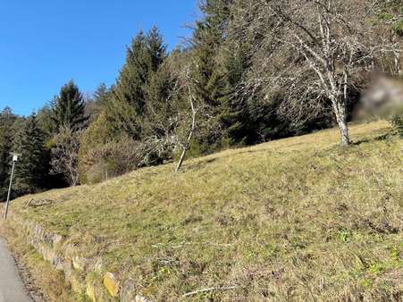 Platz zum Bauen - Grundstück in 75323 Bad Wildbad mit 729m² kaufen