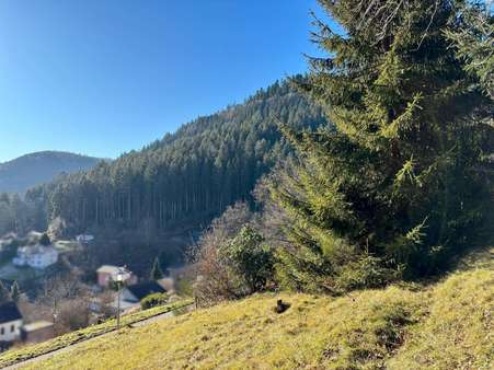 viel Natur - Grundstück in 75323 Bad Wildbad mit 729m² kaufen