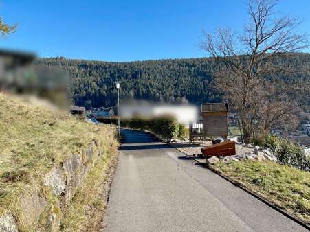 Zufahrtsweg zum Grundstück - Grundstück in 75323 Bad Wildbad mit 729m² kaufen