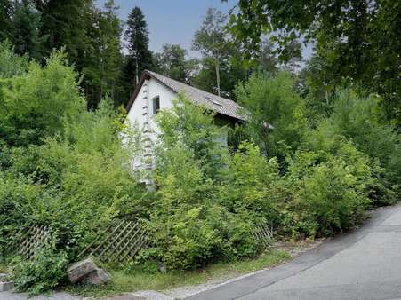 Straßenansicht - Einfamilienhaus in 75378 Bad Liebenzell mit 150m² kaufen