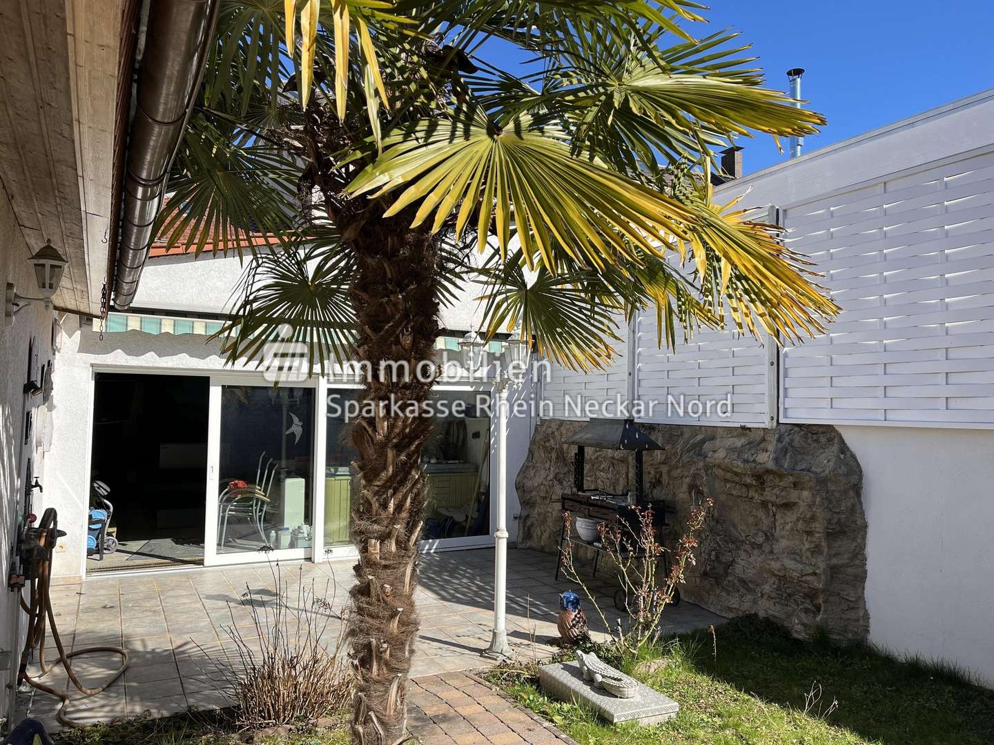 Terrasse mit Fliesen und Palme im Garten - Einfamilienhaus in 68199 Mannheim mit 140m² kaufen