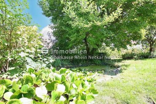 Teichanlage im Garten Teichanlage im Garten - Einfamilienhaus in 68542 Heddesheim mit 154m² kaufen