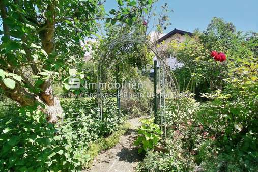 Zierbogen im Garten Zierbogen im Garten - Einfamilienhaus in 68542 Heddesheim mit 154m² kaufen