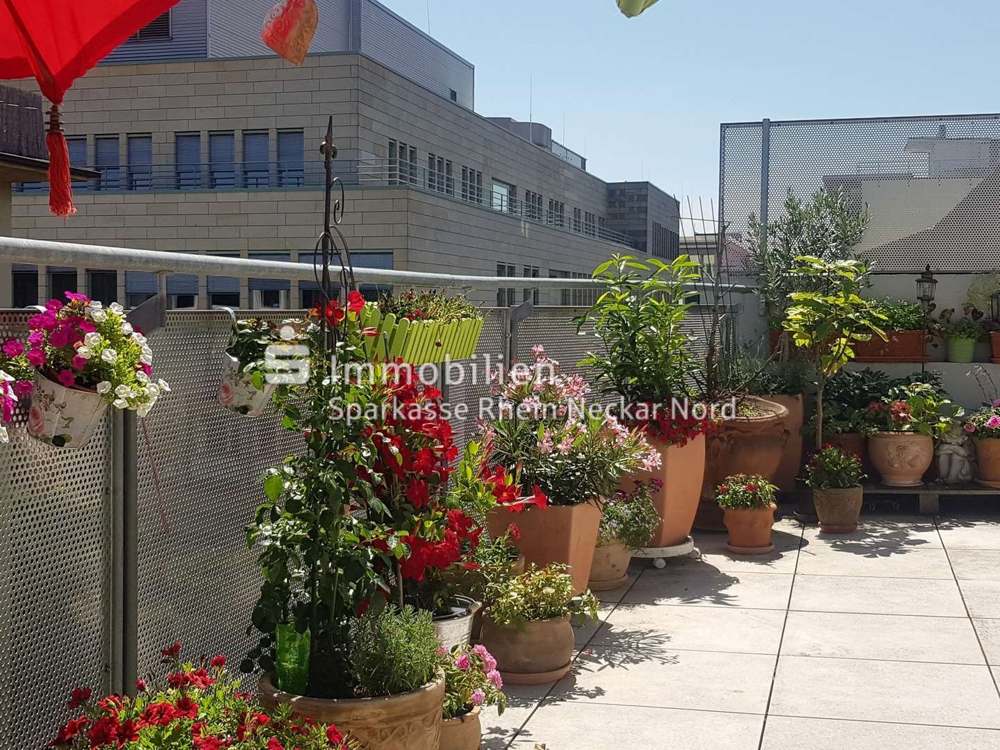 Dachterrasse mit Blumen und Stadtblick Dachterrasse mit Blumen und Stadtblick - Penthouse-Wohnung in 68159 Mannheim mit 100m² kaufen