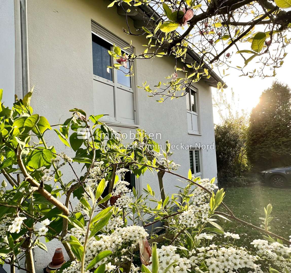 Äußerliche Hausansicht - Gartenseite Äußerliche Hausansicht - Gartenseite - Zweifamilienhaus in 69469 Weinheim mit 200m² kaufen