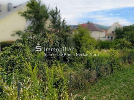 Die Bergstraße im Hintergrund Die Bergstraße im Hintergrund - Grundstück in 69502 Hemsbach mit 294m² kaufen