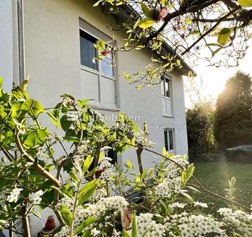 Äußerliche Hausansicht - Gartenseite Äußerliche Hausansicht - Gartenseite - Zweifamilienhaus in 69469 Weinheim mit 200m² kaufen