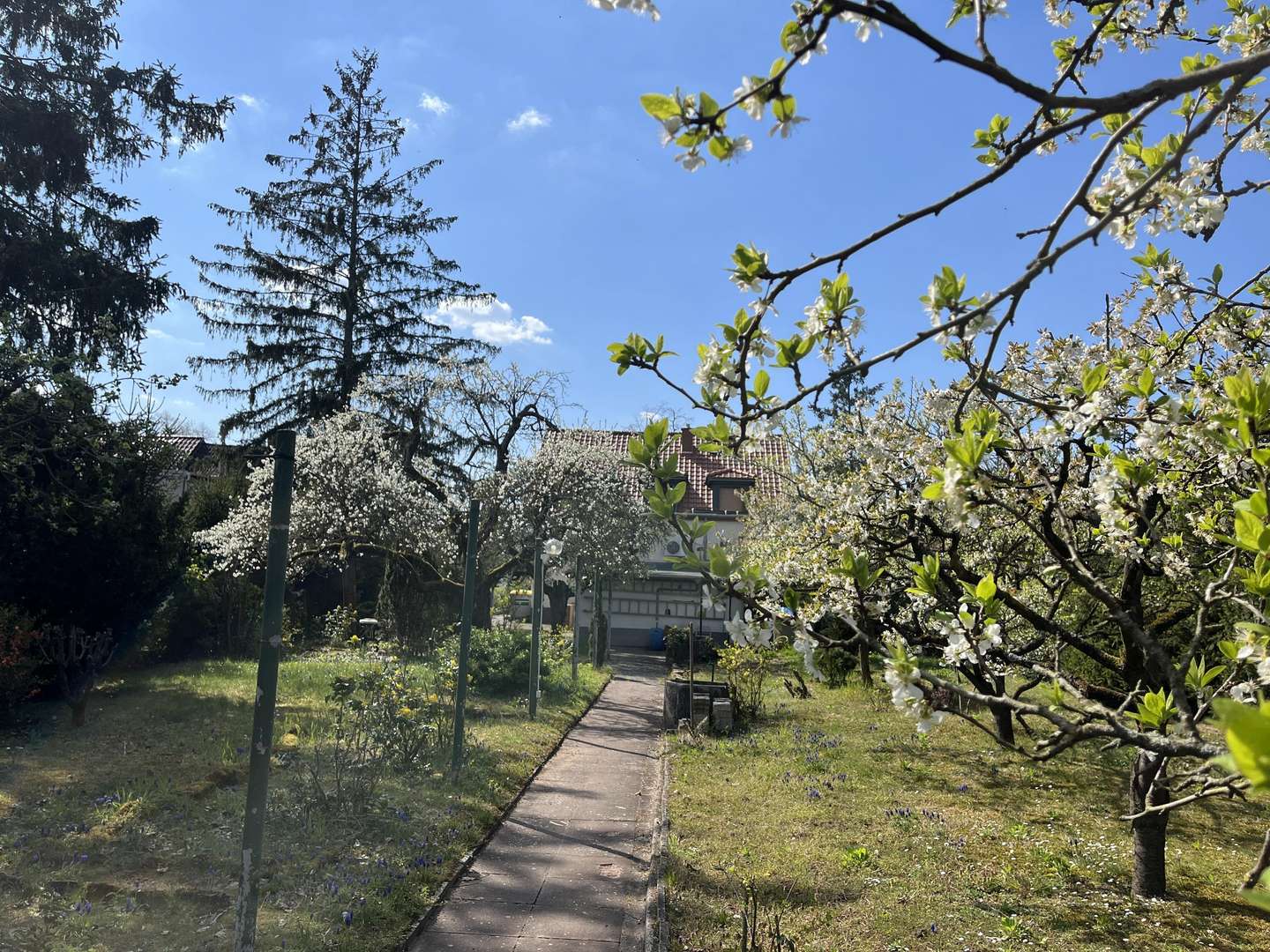 Garten Blick zum Haus Garten Blick zum Haus - Sonstige in 68305 Mannheim mit 93m² kaufen