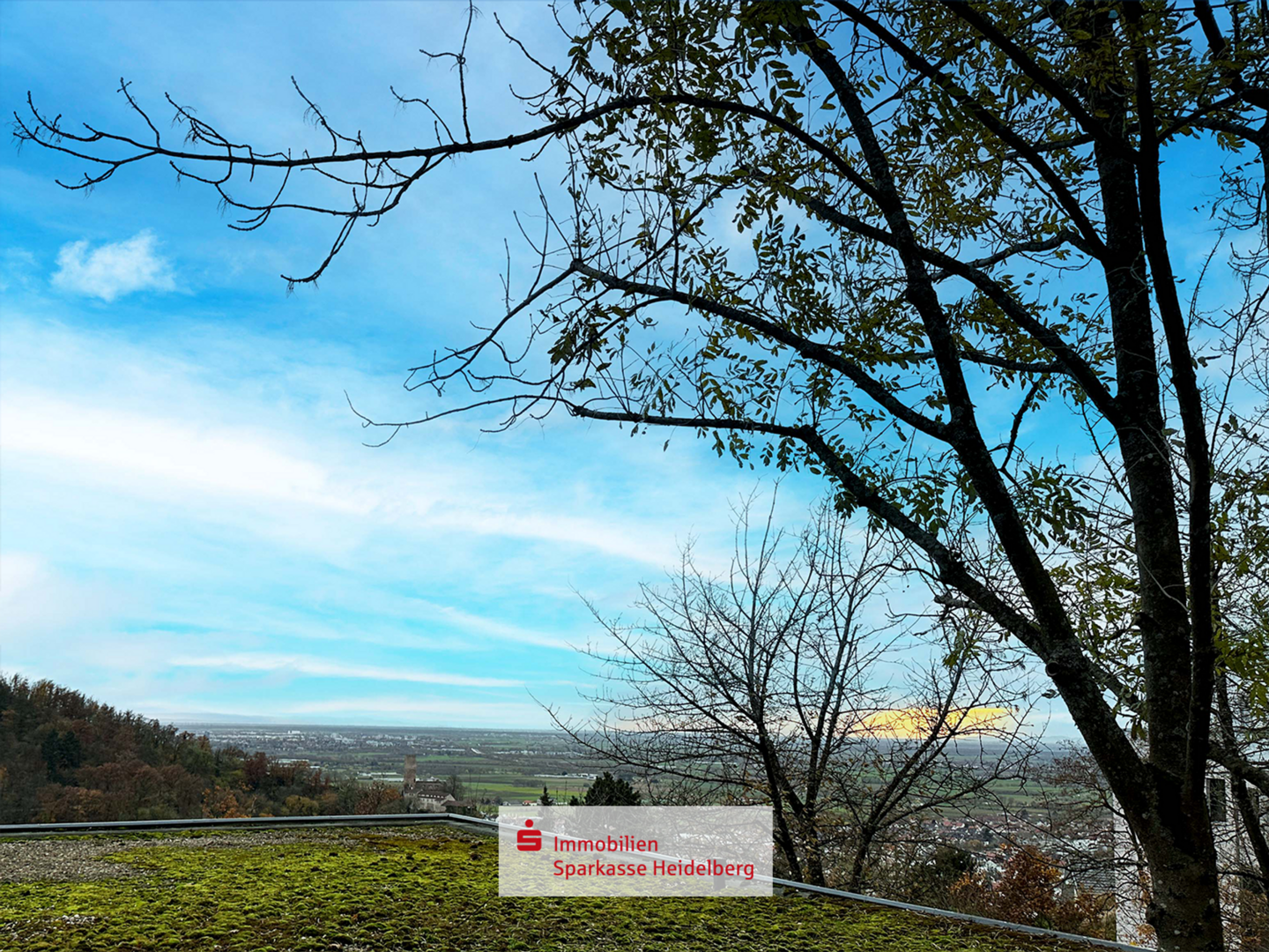 Aussicht  - Grundstück in 69198 Schriesheim mit 839m² kaufen