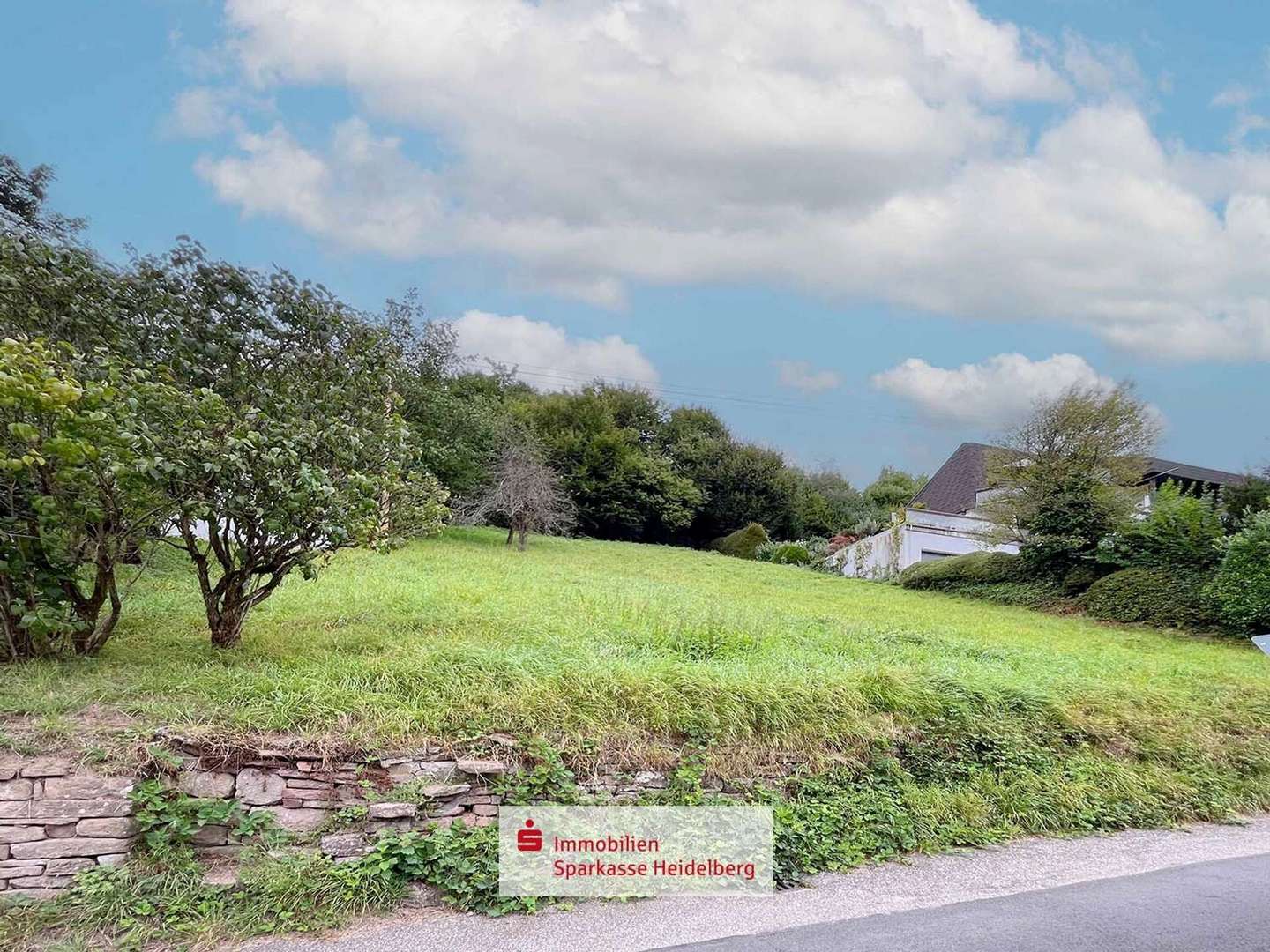 Titelbild - Grundstück in 69250 Schönau mit 950m² kaufen