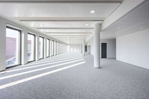 Open Space Open Space - Bürofläche in 69115 Heidelberg mit 667m² mieten