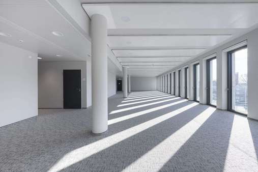 Open Space Open Space - Bürofläche in 69115 Heidelberg mit 667m² mieten