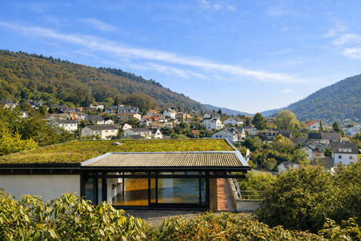 HAUSANSICHT - GARENSEITE - KI GENERIERT - Zweifamilienhaus in 69118 Heidelberg mit 220m² kaufen