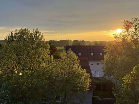 Aussicht - Etagenwohnung in 68782 Brühl mit 109m² kaufen